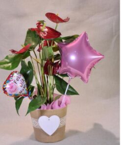 Anthurium " Especial día de las Madres"