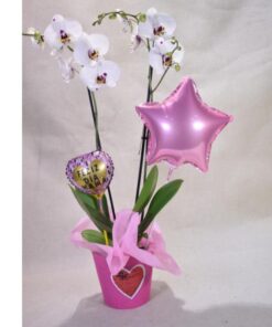 Orquídea "Especial día de las Madres "