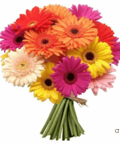 Ramo de Flores Miriam para el día de las Madres
