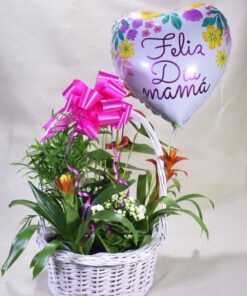 Cesta M de plantas » Especial día de las Madres»
