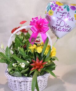 Cesta  GR de plantas " Especial día de las Madres"