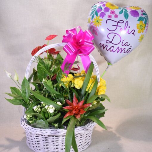Cesta  GR de plantas " Especial día de las Madres"