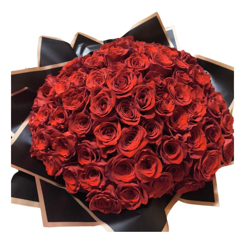 100 rosas rojas